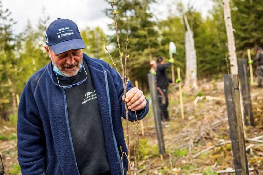 Baumpflanzung bei ZILONIS